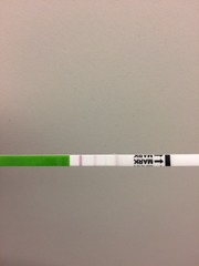 Is this a positive opk?