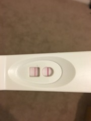 Ttc#1 THREAD 3. Some bfp's, some bfn's, cervical mucus examination class of what was supposed to be January 2016.