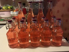 Home made gifts - rhubarb vodka?