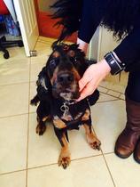 parkrunners (AOWALC, #DFYB) Anonymous Keep on Going 5K at a time