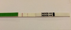 Is this a positive opk?