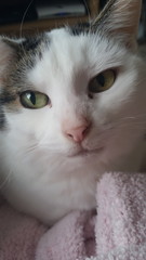 Look at my Precious Baby Fur Princess
