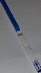 Short Luteal Phase #2