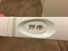 Ttc#1 THREAD 3. Some bfp's, some bfn's, cervical mucus examination class of what was supposed to be January 2016.