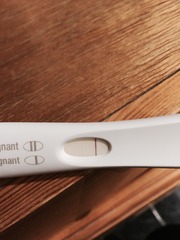evap line on frer?