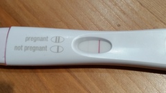 Short Luteal Phase #2