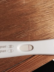 evap line on frer?