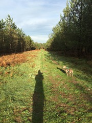 Running thread part 8