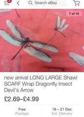 I could do with some help - scarf for DM Christmas present - specific requirements.