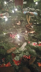 Tell us about (or show us!) the funniest places you've found your pet for a chance to win a Christmas hamper worth £100 and a copy of Oi Frog! by Kes Gray and Jim Field.