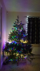 Oh come all ye frugalers, joyful in December, oh come ye, oh come yea and chat