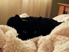 Look at my Precious Baby Fur Princess