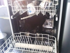 Tell us about (or show us!) the funniest places you've found your pet for a chance to win a Christmas hamper worth £100 and a copy of Oi Frog! by Kes Gray and Jim Field.