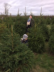 Oh come all ye frugalers, joyful in December, oh come ye, oh come yea and chat