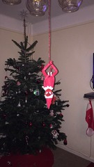 How is your Elf arriving?