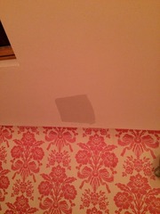 Paint colour advice (F&B)