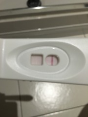 Ttc#1 THREAD 3. Some bfp's, some bfn's, cervical mucus examination class of what was supposed to be January 2016.