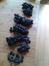 Bamboo kitchen worktop?