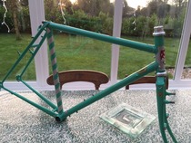 OMG, don't laugh, I have a Disney Princess style bike