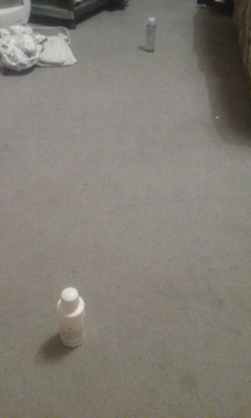 To not get why strangers can't leave my child alone