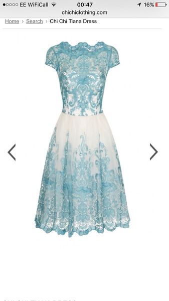 The 11th Gemini bus - Trudging through the terrible twos