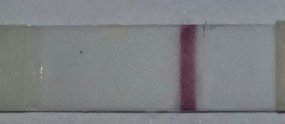 Over 40s TTC & success stories.