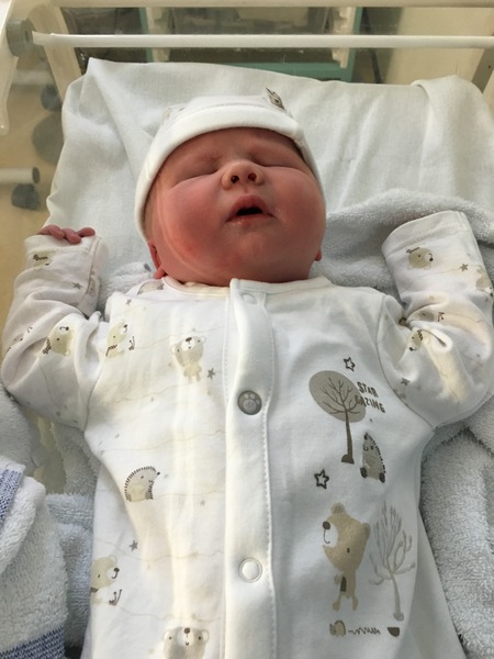 Feb 2016 Babies: The One Where the Babies Start Arriving!