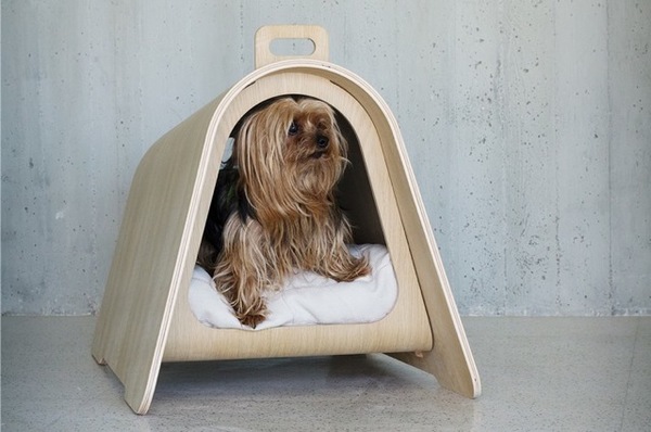 Dog bed recommendations?
