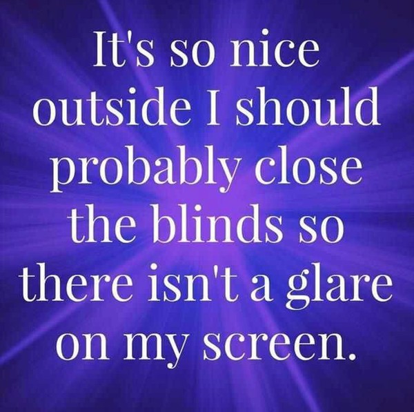 Supposedly good films that you thought were shit?