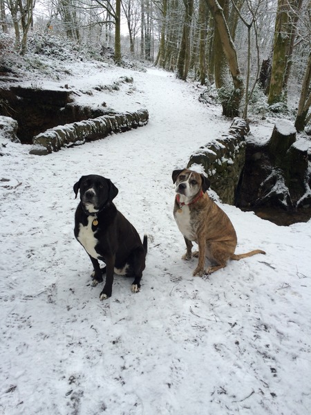 Mugabe Nights: sometimes you wanna go where everybody knows your (sleep deprived) pain!