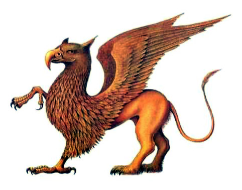 What do you think when you hear the name Griffin?