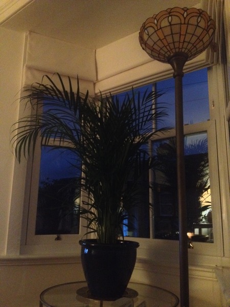 It's the calm before the storm (sort of) that is Fantastic February and the March Madness - we did a lot of shagging last summer! We need more JSers on this, our 44th thread!