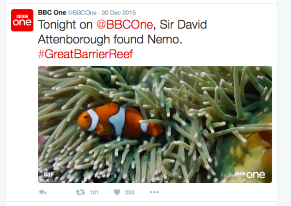 To ask for info on Twitter (technophobe alert)?
