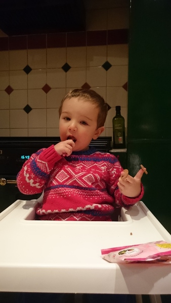 Little Dish Go Gos feedback thread – see what testers think of the latest snacks for LO’s NOW CLOSED