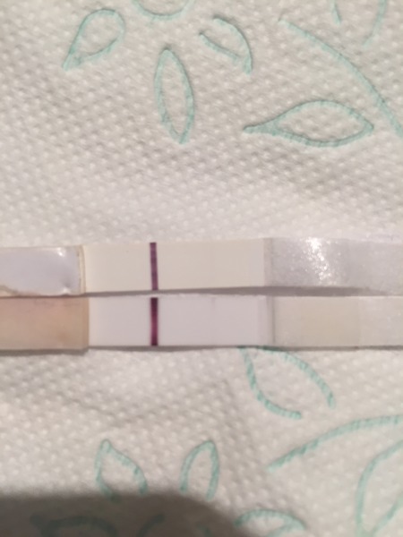 There's Chickens up Trees and BOGOF Deals from the Stork! We're Seeking out the Magic Potion whilst avoiding the Rogue Penis - Don't Flash your Cat, it's JS 57!