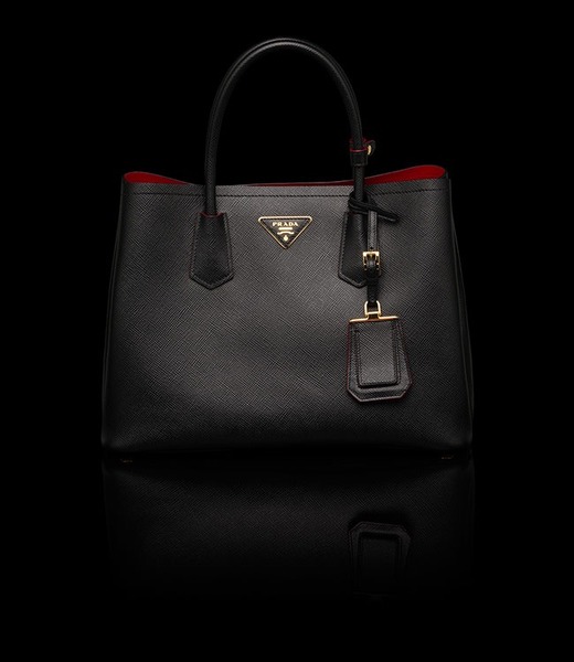 How much would you spend on a nice bag?