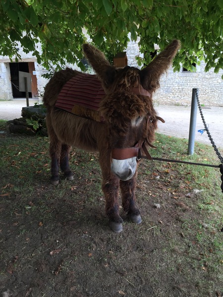 People who love France, I need your help!!