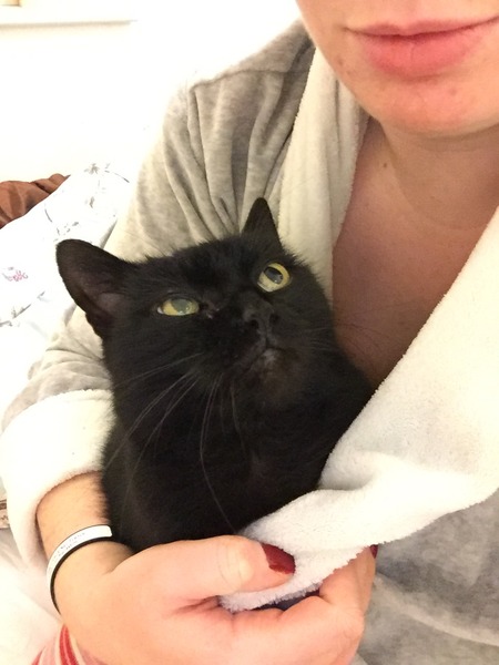 New foster cat issues - mostly a sleep issue!