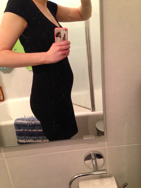 August 2016 (3) - scans fast approaching, teeny tiny bumps appearing, and sickness easing....we hope!