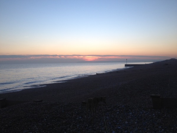 Brave Babes - Wrapping up for a Wonderful Winter