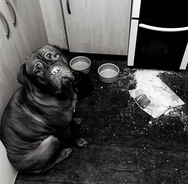 Photos that make you laugh