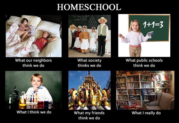 to ask if you would consider home education?