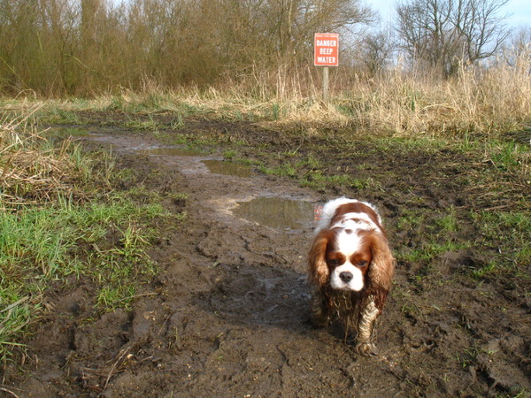 Runners, talk me through footwear in this wet weather...
