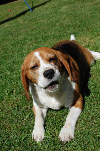 Brave Babes - Wrapping up for a Wonderful Winter