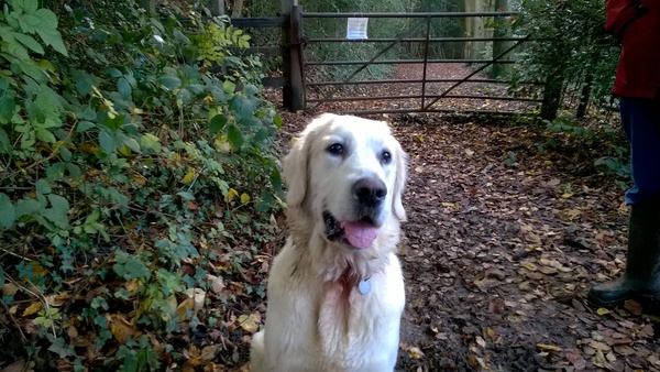 going bonkers again at 14 months.....