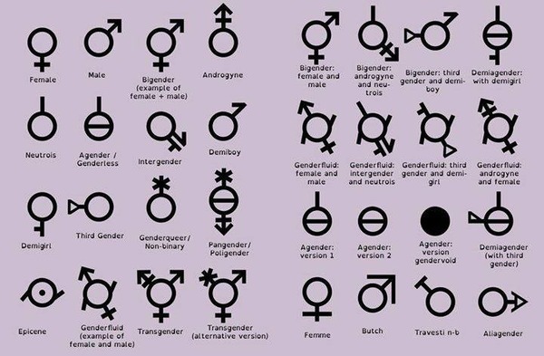 to object to MNHQ forcing a MALE/FEMALE gender binary on my account.
