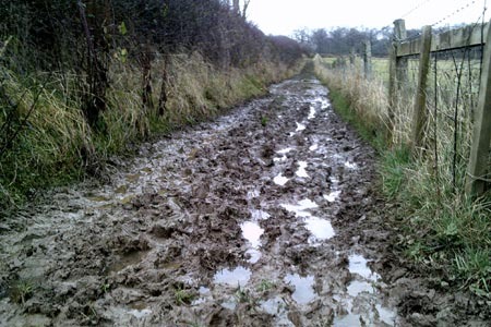Runners, talk me through footwear in this wet weather...