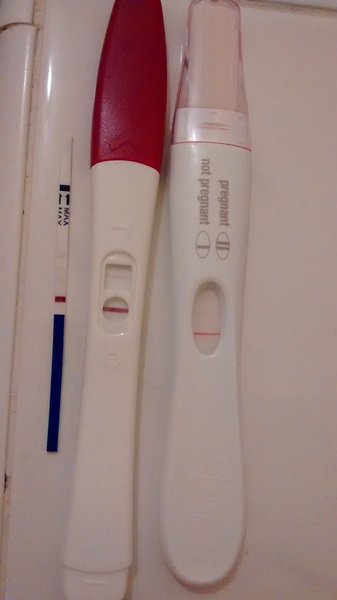 There's Chickens up Trees and BOGOF Deals from the Stork! We're Seeking out the Magic Potion whilst avoiding the Rogue Penis - Don't Flash your Cat, it's JS 57!