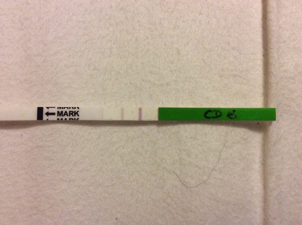 There's Chickens up Trees and BOGOF Deals from the Stork! We're Seeking out the Magic Potion whilst avoiding the Rogue Penis - Don't Flash your Cat, it's JS 57!