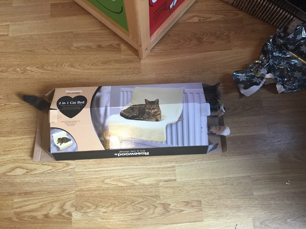 Zombie's Surgical Adventures and Beyond